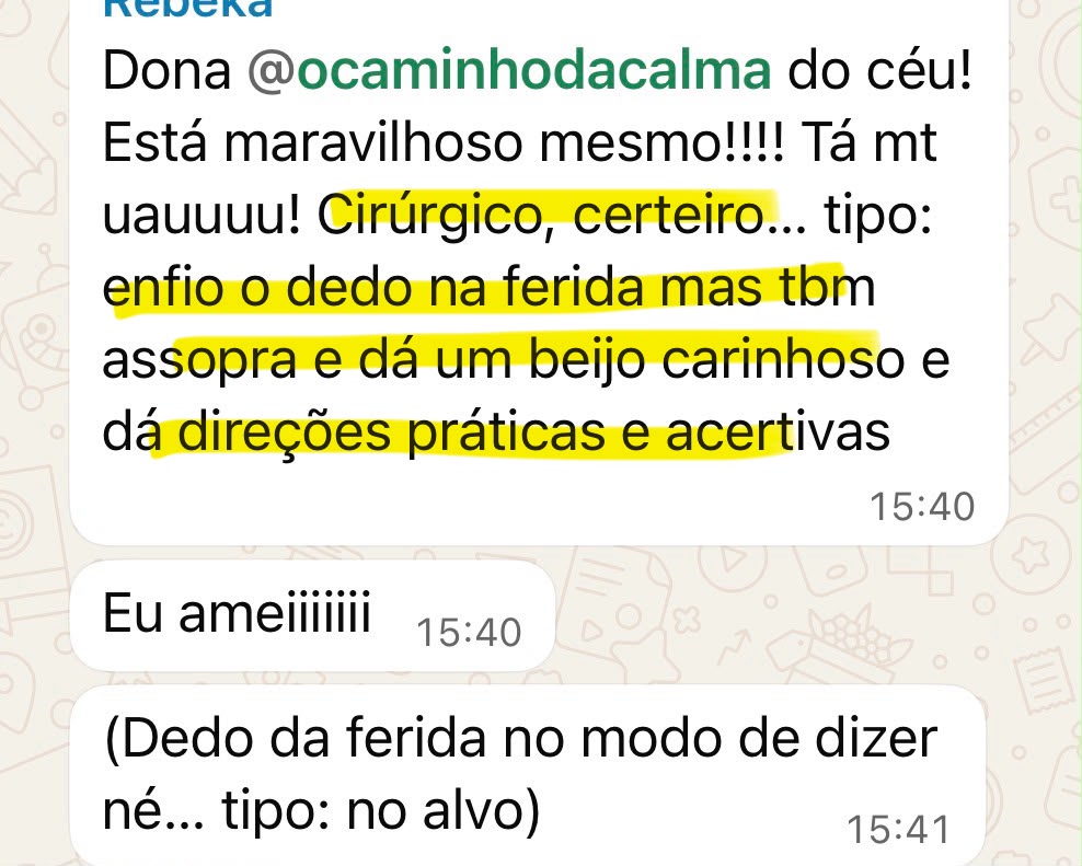 Mensagem de WhatsApp elogiando o Mapa da Soberania