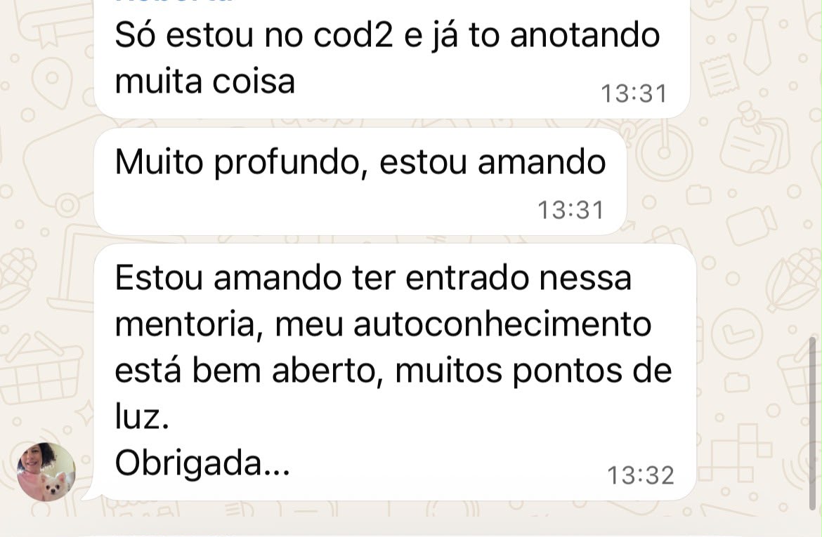 Mensagem de WhatsApp de quem está lendo o Código 2